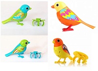 Комплект из четырех поющих птиц DigiBirds (по одной каждого цвета)